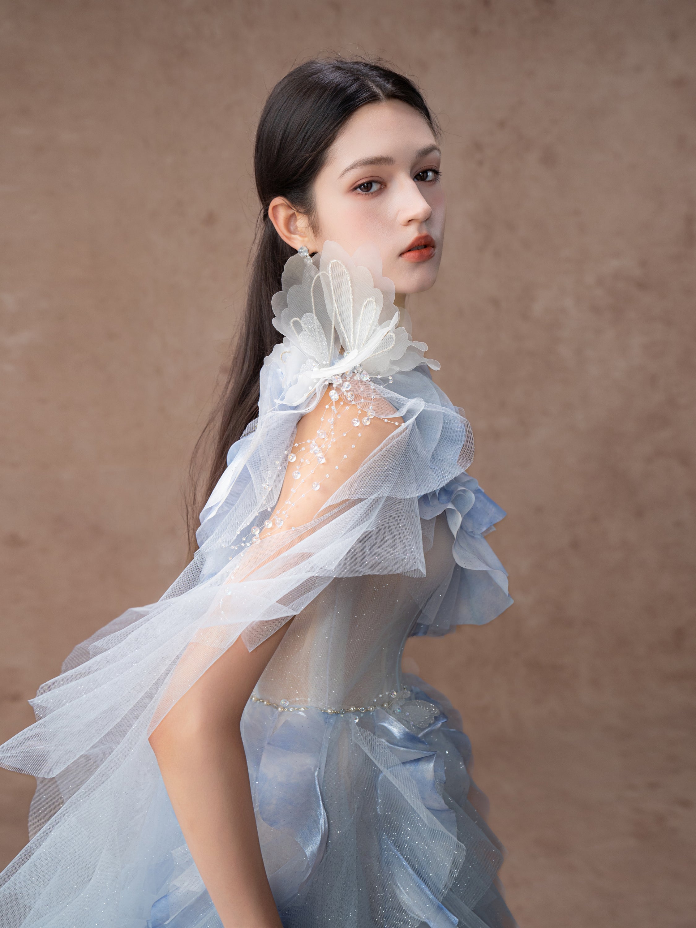 Wings over Iris Blooms